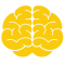 experiente-cognitive-232434
